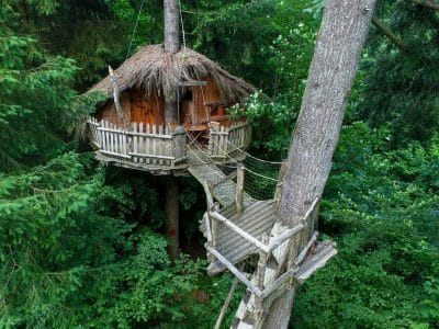 Cabane dans les arbres en Auvergne, perchée au milieu dune forêt verdoyante.