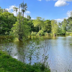 Hébergement insolite en cabane flottante, entouré dun paisible étang verdoyant.