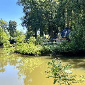 Cabane en bois au bord dun étang, entourée de verdure luxuriante.