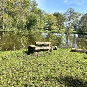 Hébergement insolite en Pays de la Loire, avec un coin détente au bord dun étang paisible.
