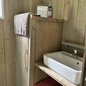 Cabane en bois avec lavabo moderne, ambiance naturelle et chaleureuse.