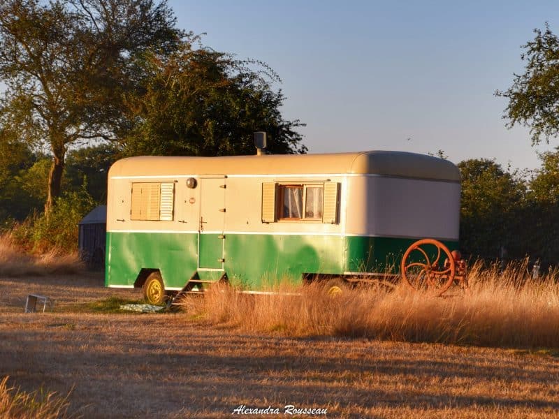 Caravane vintage au milieu des champs, entourée de hautes herbes dorées.
