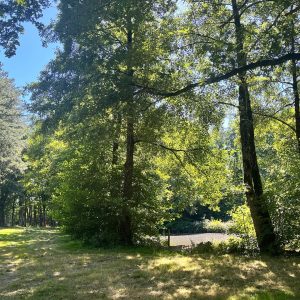 Hébergement insolite en pleine nature, entouré darbres verdoyants près dun étang.
