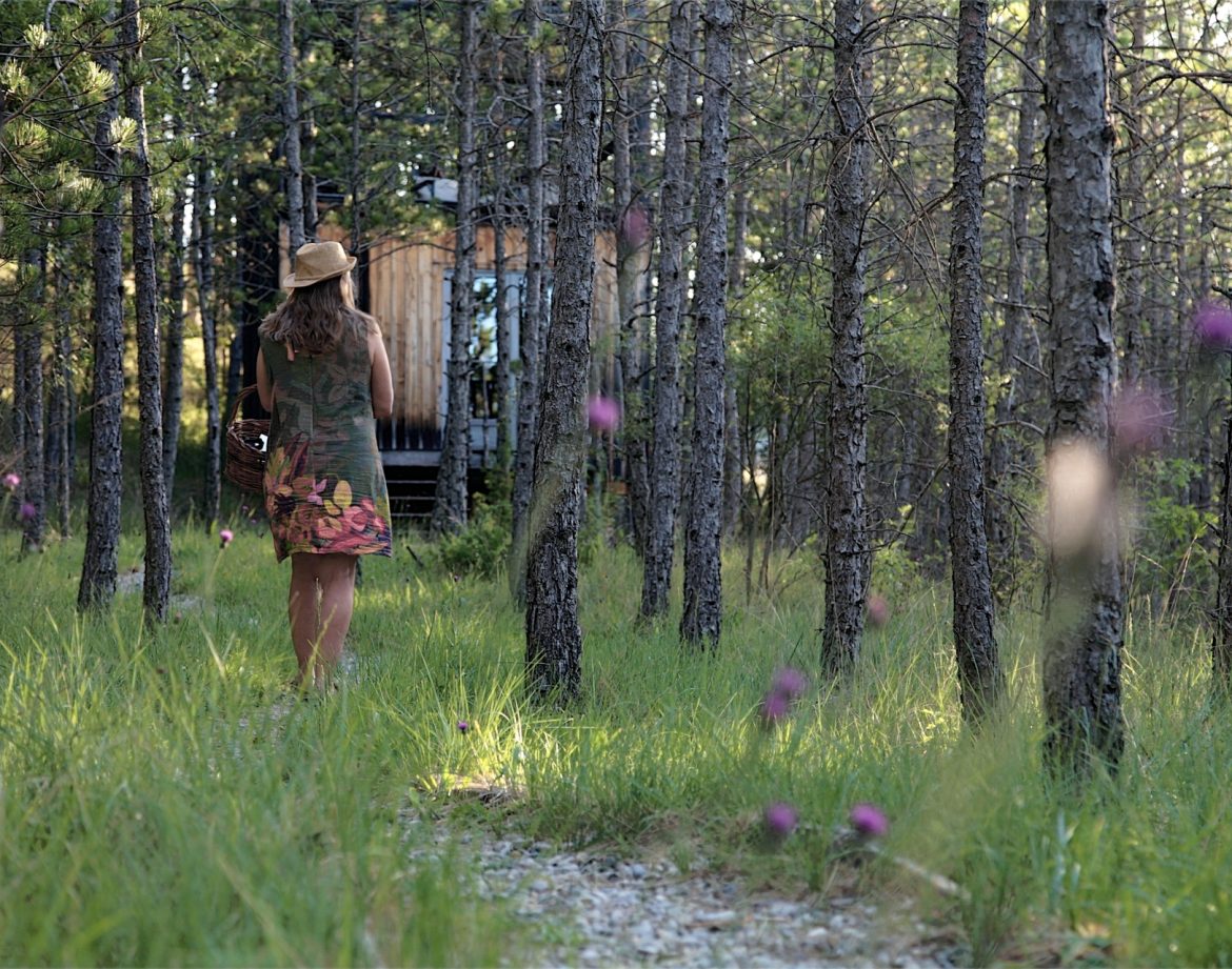 Cabane perchée en bois, entourée de pins, avec une promeneuse en robe fleurie.