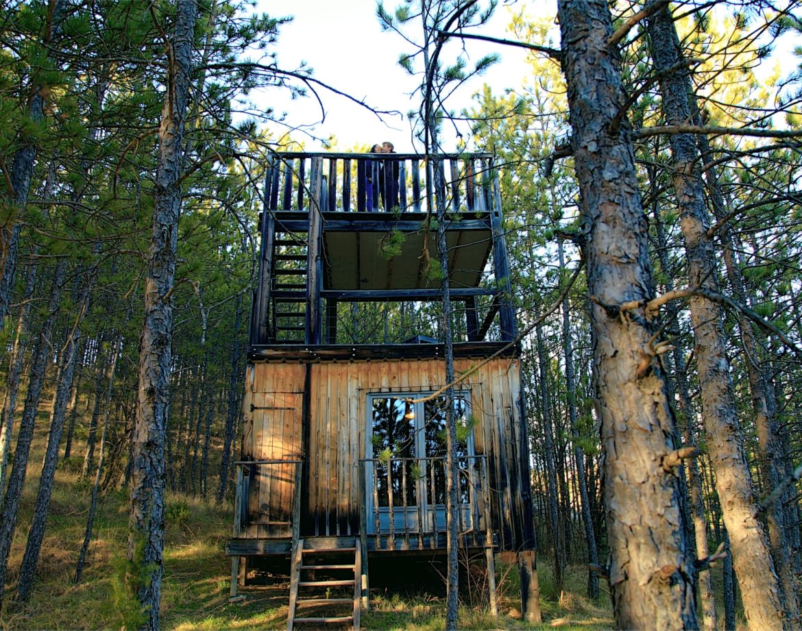 Cabane perchée en bois dans les arbres, entourée de pins en Provence-Alpes-Côte dAzur.