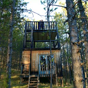Cabane perchée en bois dans les arbres, entourée de pins en Provence-Alpes-Côte dAzur.