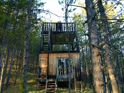 Cabane perchée en bois dans les arbres, entourée de pins en Provence-Alpes-Côte dAzur.