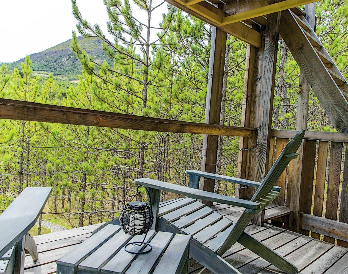 Cabane perchée en bois avec terrasse, vue sur la forêt verdoyante en Provence-Alpes-Côte dAzur.