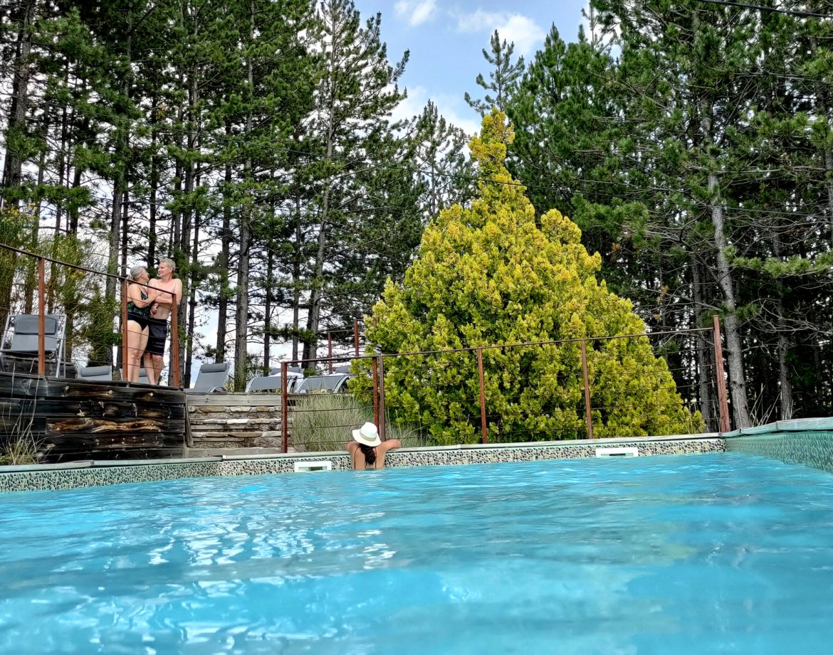 Hébergement insolite en Provence-Alpes-Côte dAzur avec piscine et forêt verdoyante.
