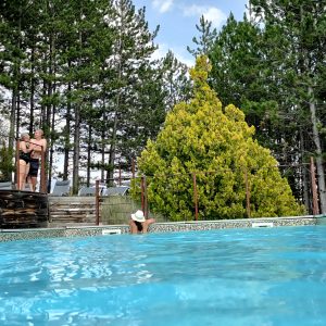 Hébergement insolite en Provence-Alpes-Côte dAzur avec piscine et forêt verdoyante.