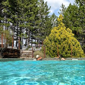 Hébergement insolite en Provence-Alpes-Côte dAzur avec piscine entourée de verdure.