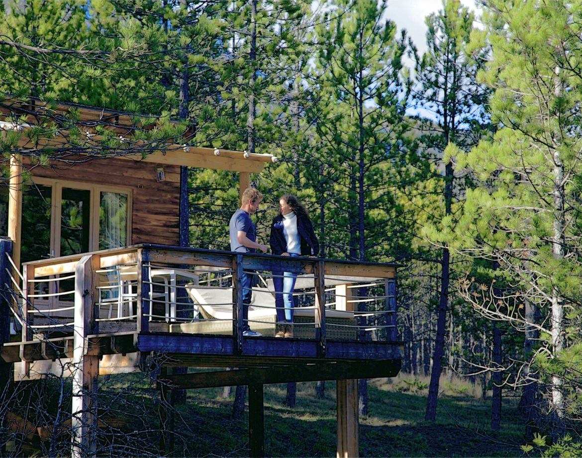 Cabane perchée en bois avec terrasse, entourée de pins en Provence-Alpes-Côte dAzur.