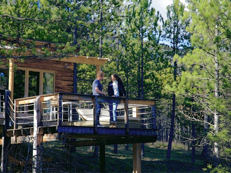 Cabane perchée en bois avec terrasse, entourée de pins en Provence-Alpes-Côte dAzur.