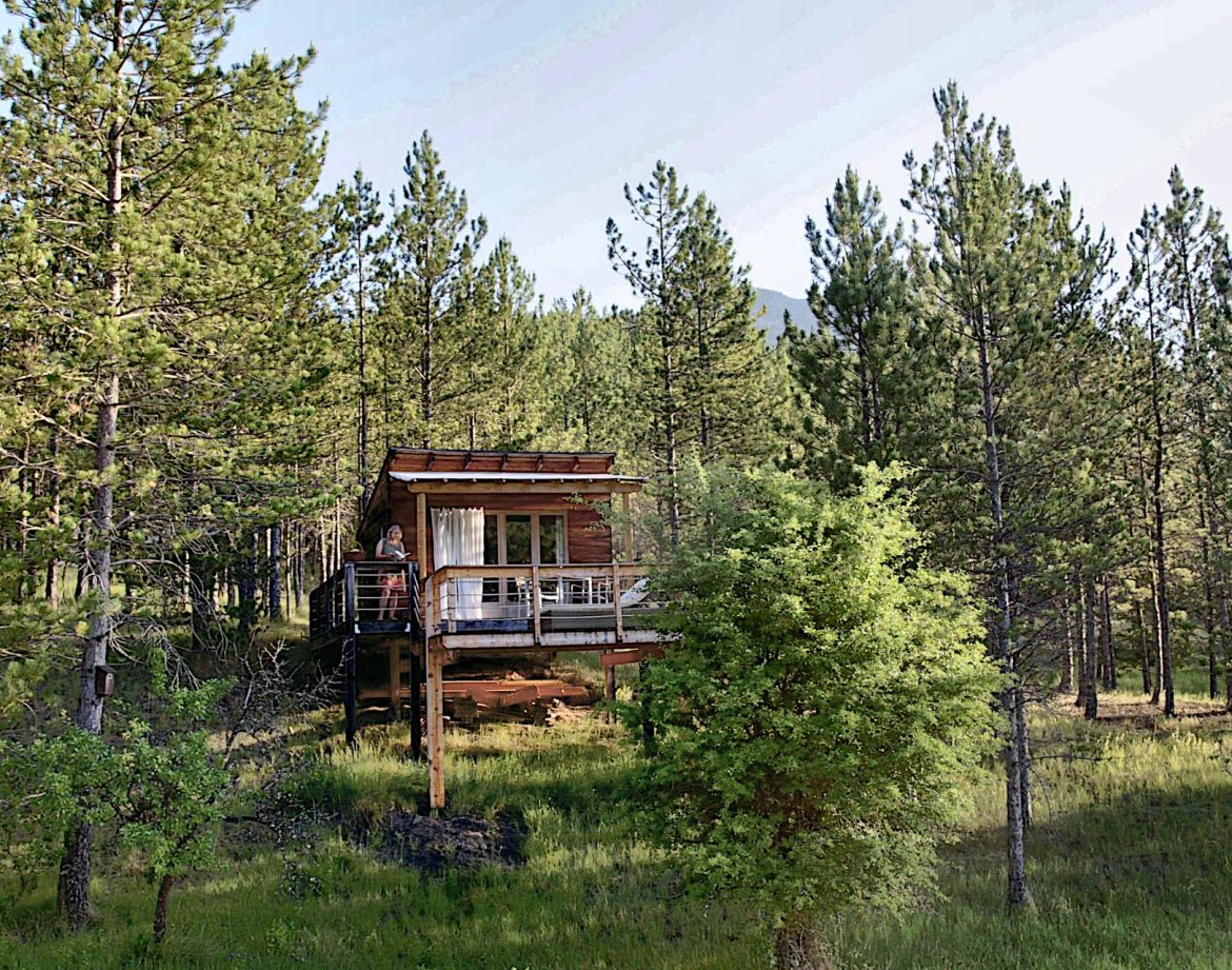 Cabane perchée en bois, entourée de pins, offrant une vue imprenable sur la nature.