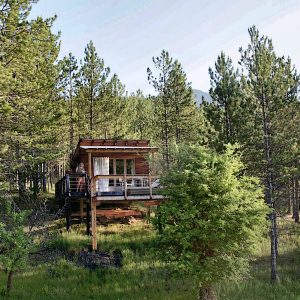 Cabane perchée en bois, entourée de pins, offrant une vue imprenable sur la nature.
