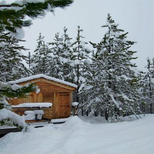 Cabane en bois entourée de sapins enneigés en Provence-Alpes-Côte dAzur.