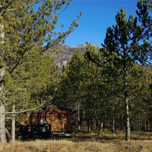 Cabane en bois nichée parmi les pins, avec vue sur les montagnes en Provence-Alpes-Côte dAzur.