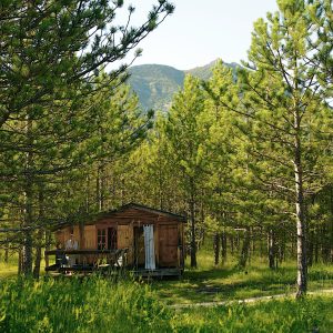 Cabane en bois nichée parmi les pins, avec vue sur les montagnes environnantes.