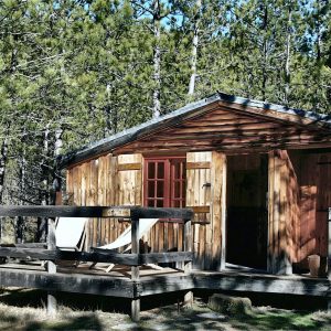 Cabane en bois dans les pins, avec terrasse et chaises longues, en Provence-Alpes-Côte dAzur.