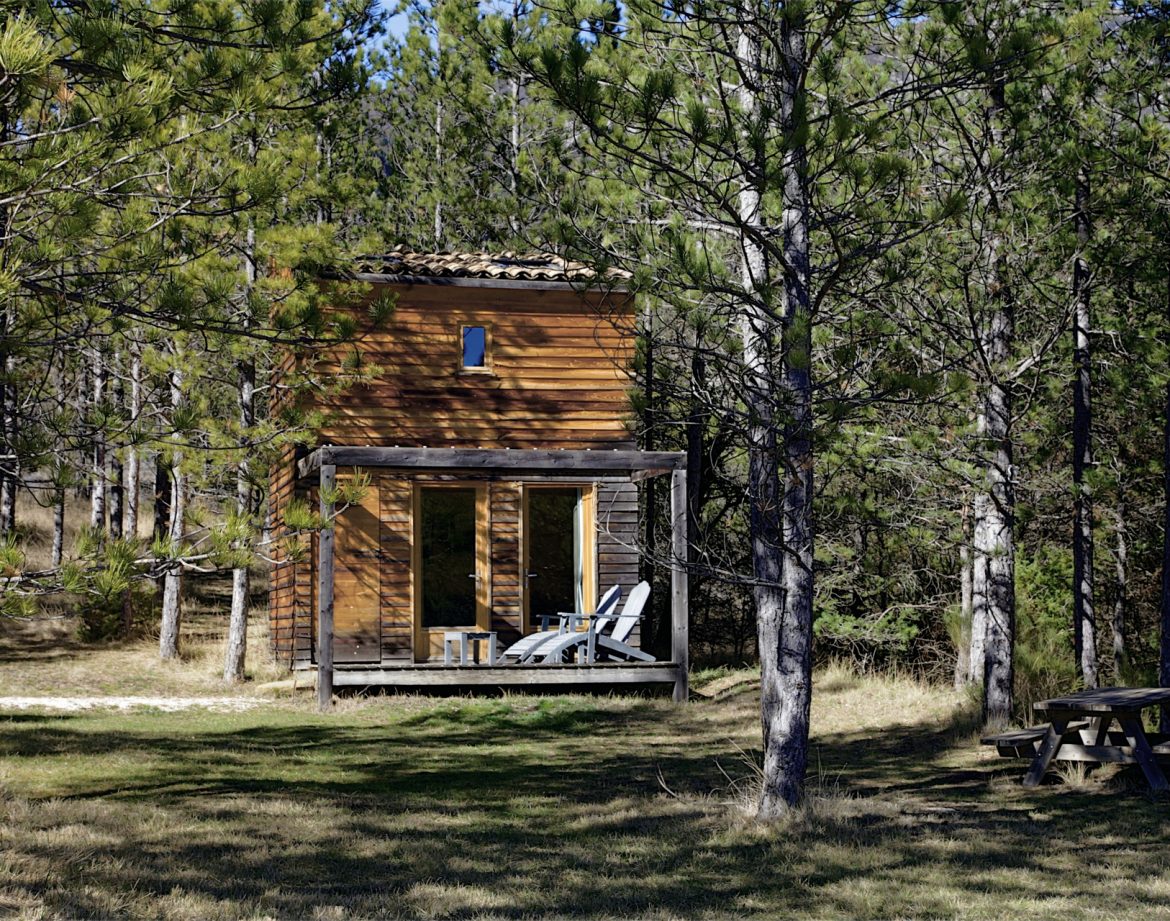 Cabane en bois dans les arbres, entourée de pins, avec terrasse et chaises longues.