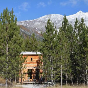 Cabane en bois nichée parmi les pins, avec montagnes enneigées en arrière-plan.
