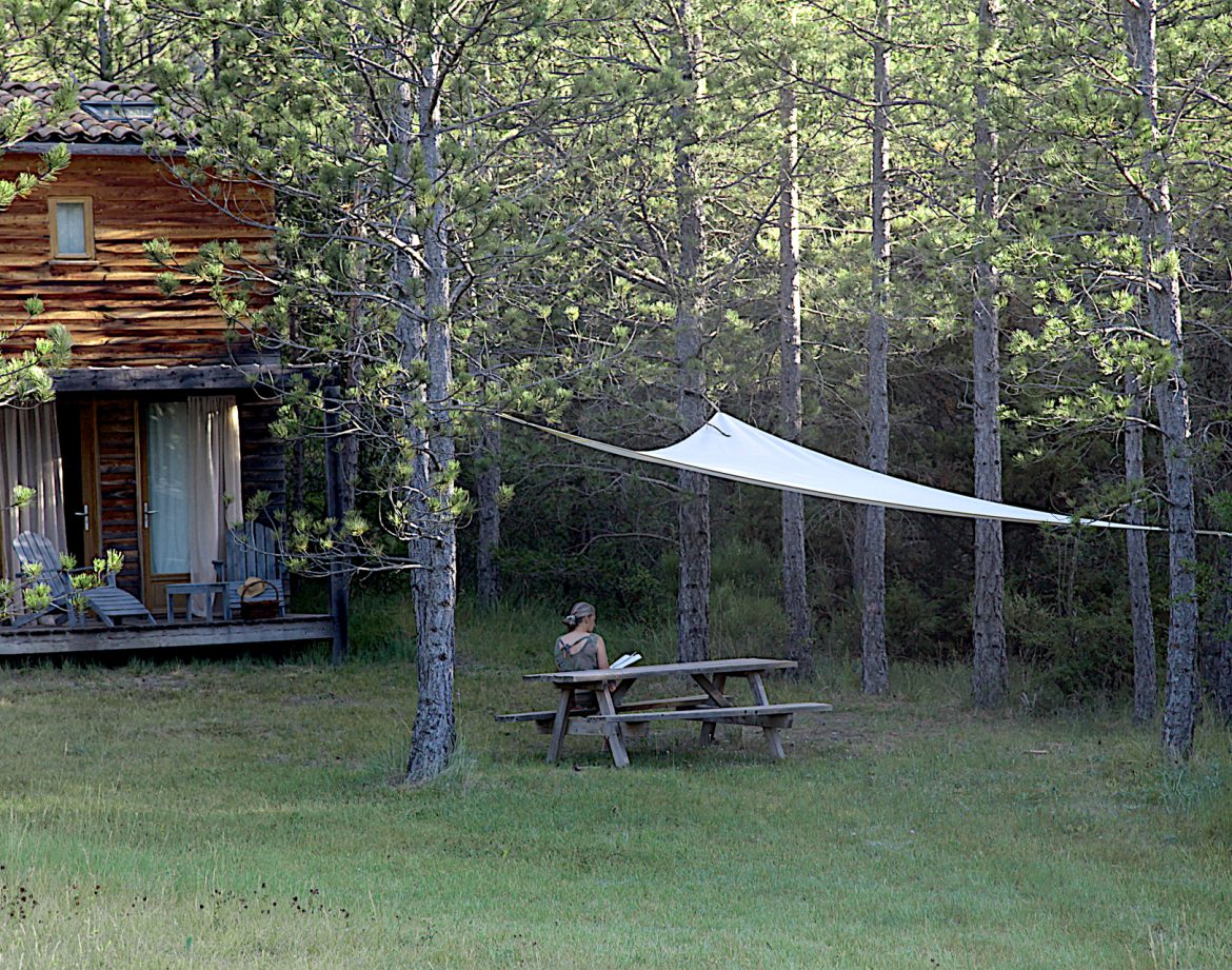 Cabane en bois au milieu des pins, avec une terrasse et un coin pique-nique.