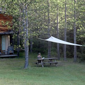 Cabane en bois au milieu des pins, avec une terrasse et un coin pique-nique.
