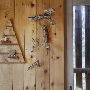 Hébergement insolite en bois avec décorations naturelles en Provence-Alpes-Côte dAzur.