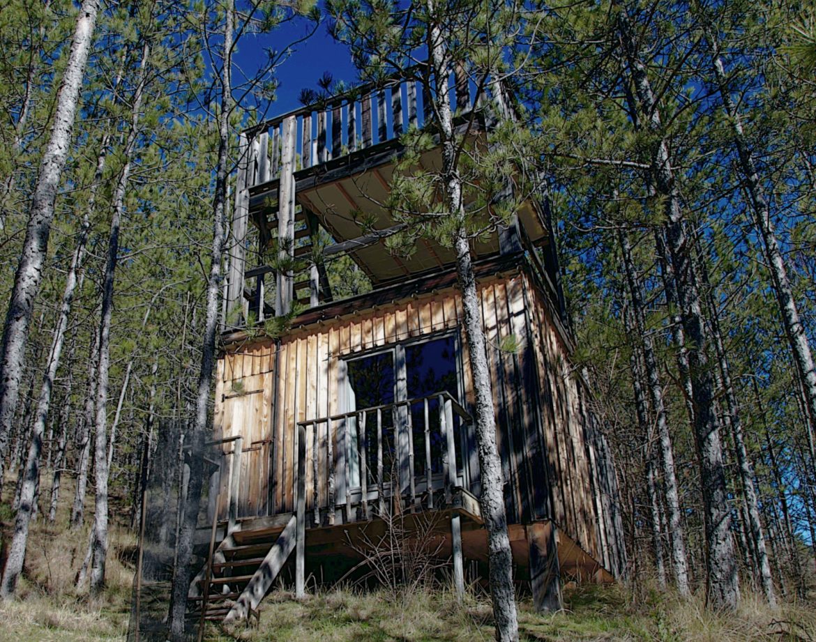 Cabane perchée en bois entourée de pins, offrant une vue dégagée sur la nature.
