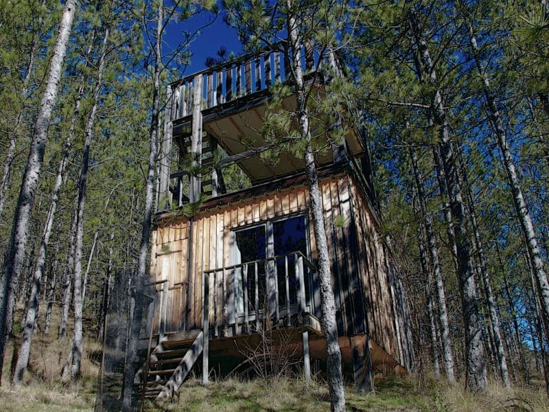 Cabane perchée en bois entourée de pins, offrant une vue dégagée sur la nature.
