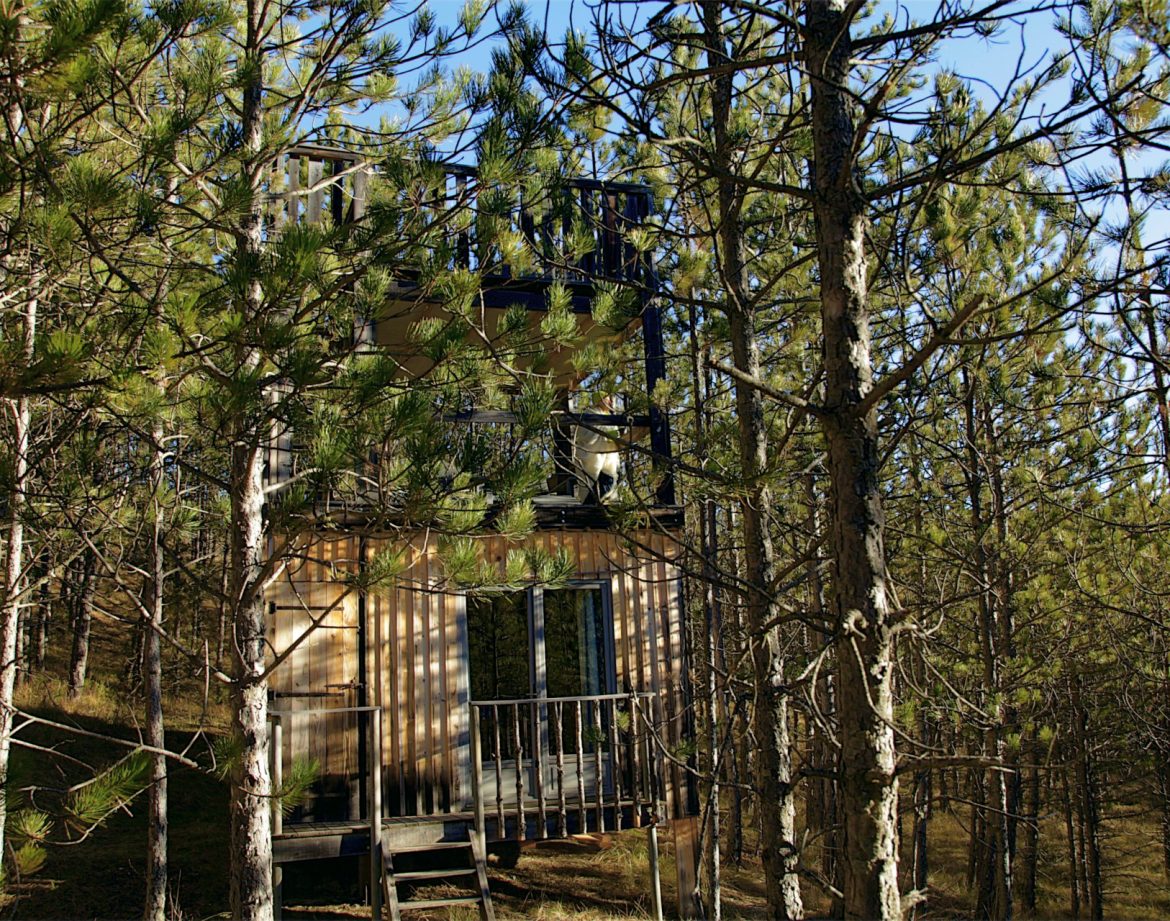 Cabane perchée en bois, entourée de pins, offrant une vue imprenable sur la nature.