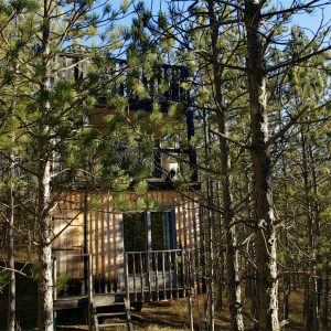 Cabane perchée en bois, entourée de pins, offrant une vue imprenable sur la nature.