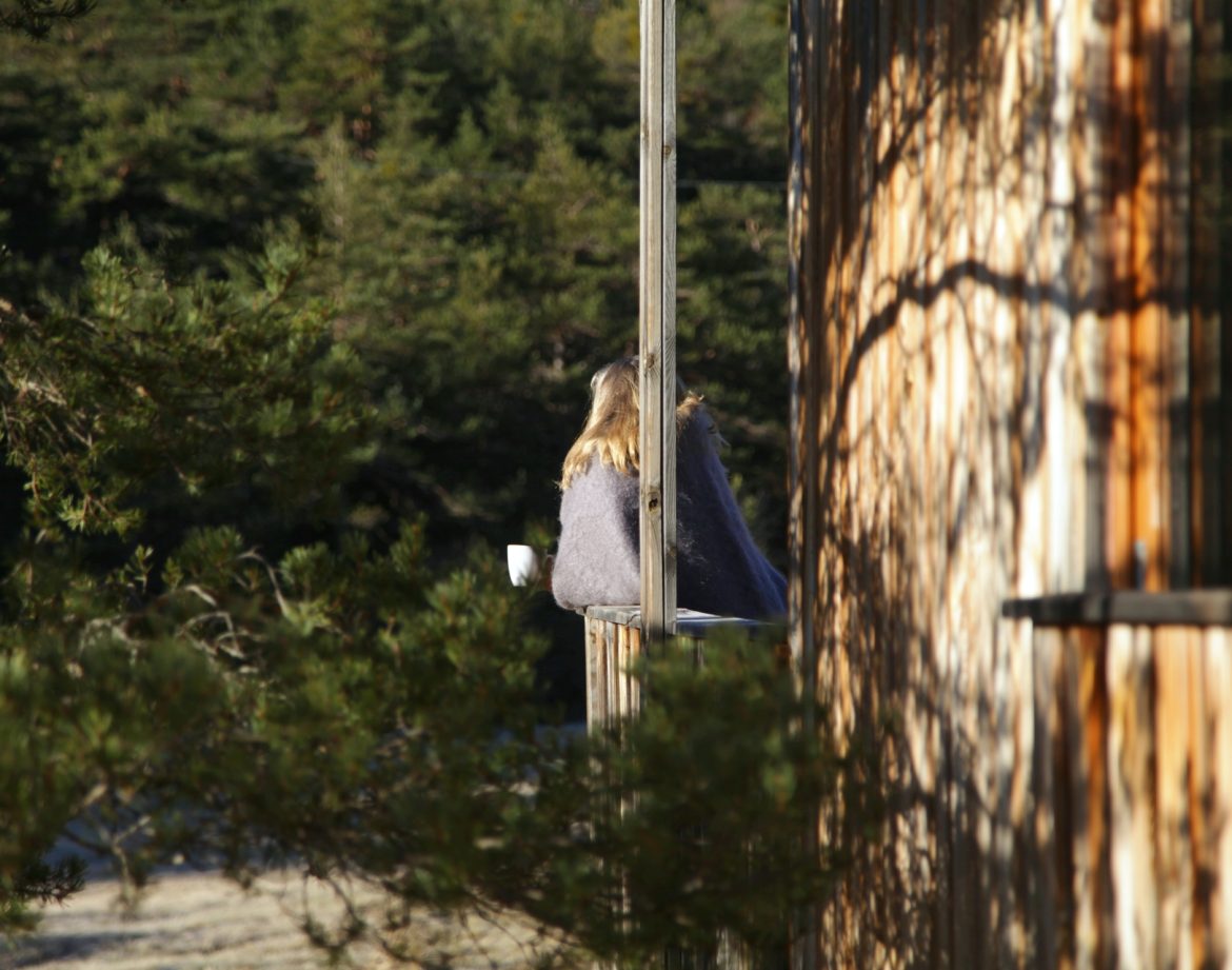 Cabane en bois en Provence-Alpes-Côte dAzur, vue sur la nature verdoyante.