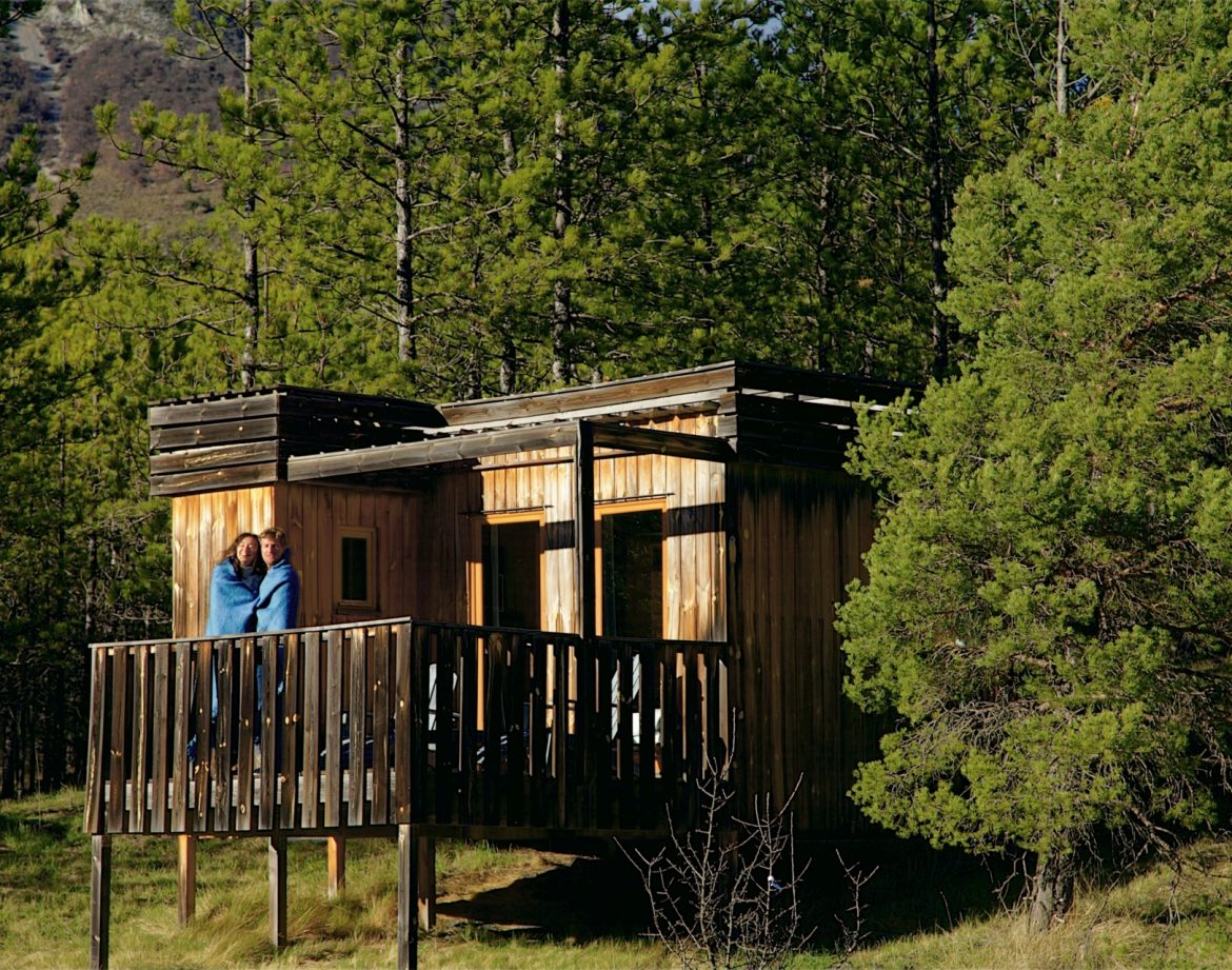 Cabane en bois perchée, entourée de pins, offrant une vue sur la nature.
