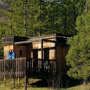Cabane en bois perchée, entourée de pins, offrant une vue sur la nature.