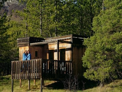 Cabane en bois perchée, entourée de pins, offrant une vue sur la nature.