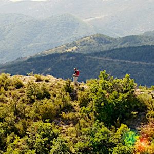 Hébergement insolite en pleine nature, avec vue panoramique sur les montagnes verdoyantes.