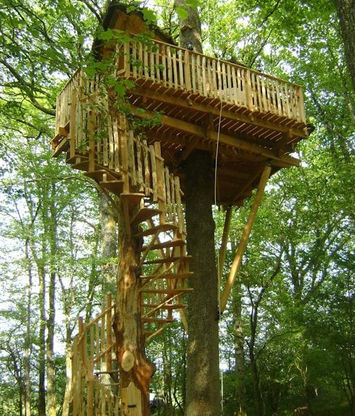 Cabane dans les arbres en bois, perchée avec une vue sur la forêt verdoyante.