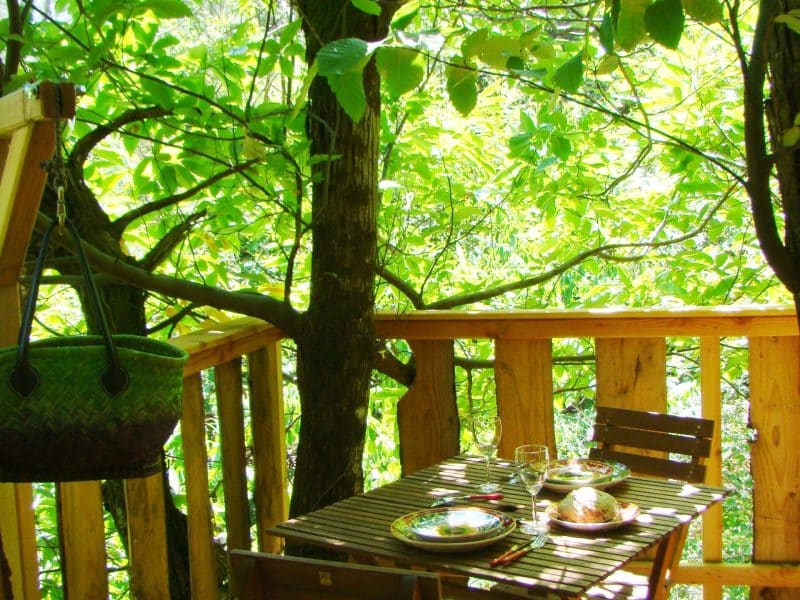 Cabane dans les arbres avec une terrasse en bois entourée de verdure luxuriante.