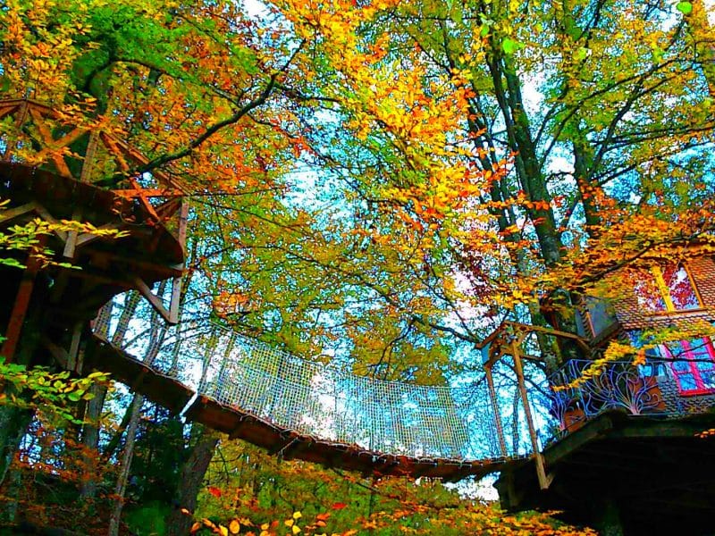 Cabane dans les arbres, entourée de feuillage coloré en automne et passerelle suspendue.