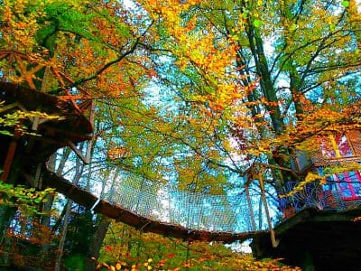 Cabane perchée dans les arbres, entourée de feuillage automnal éclatant.