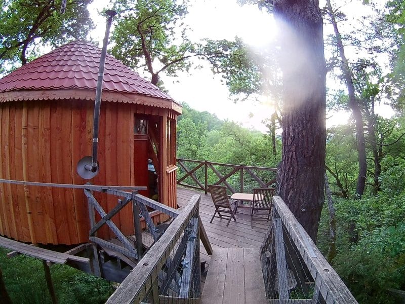 Cabane dans les arbres avec terrasse en bois, entourée de verdure luxuriante.