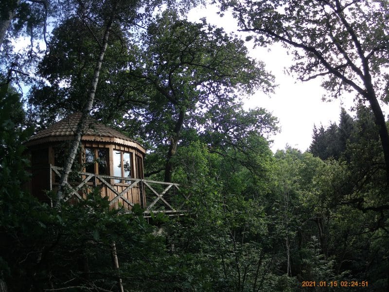 Cabane dans les arbres, perchée au milieu dune forêt verdoyante.