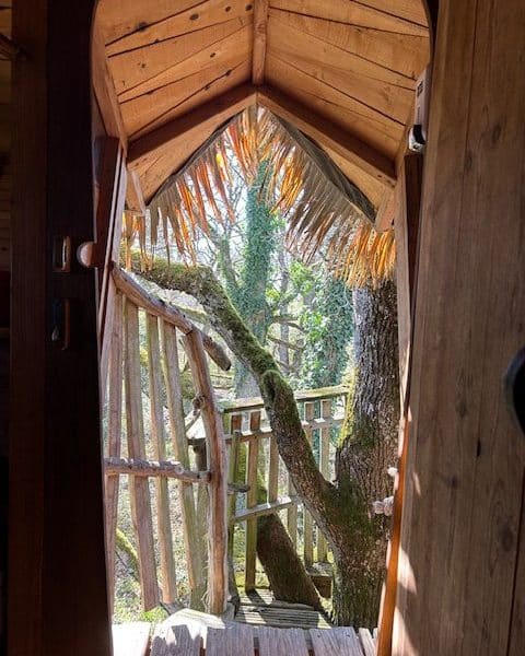 Cabane perchée avec vue sur la nature, entourée darbres verdoyants.