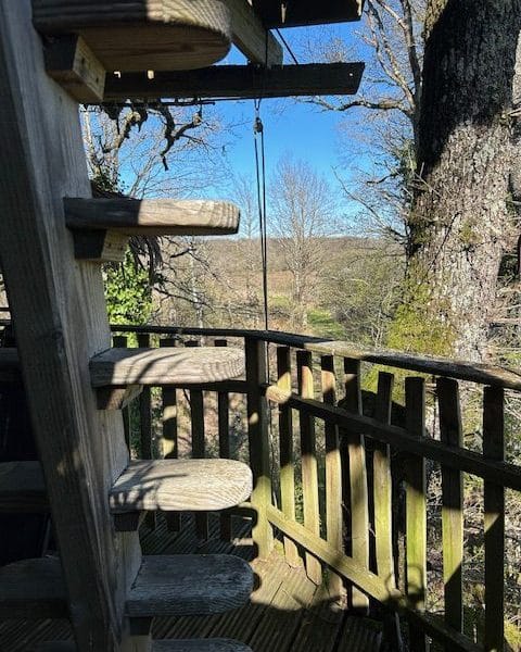 Cabane dans les arbres avec escaliers en bois et vue dégagée sur la nature environnante.