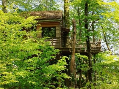 Cabane perchée dans les arbres, entourée de feuillage verdoyant au Grand-Est.