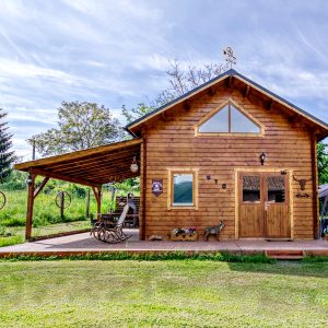 Chalet en bois avec terrasse, entouré de verdure en Auvergne-Rhône-Alpes.