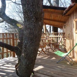Cabane perchée dans un arbre avec terrasse en bois et vue sur la nature environnante.
