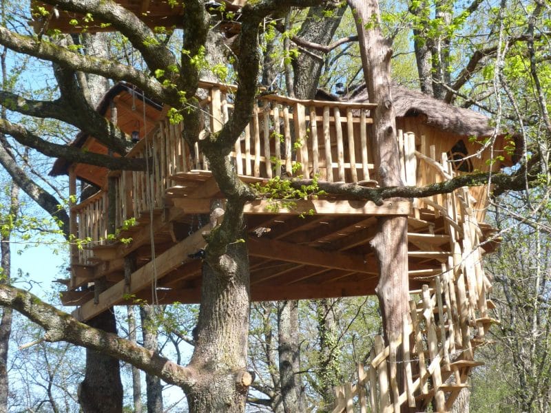 Cabane dans les arbres à Centre, perchée entre les branches avec un escalier en bois.