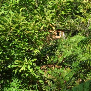 Peyrolles 3 - notre cabane